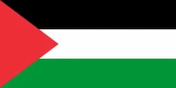 Palestine Agent flag