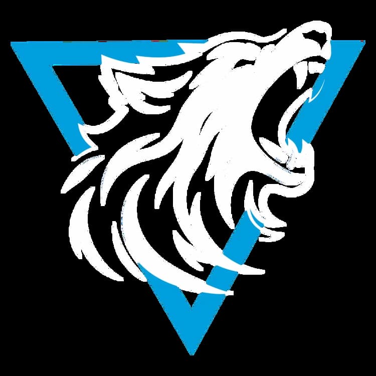 Ozman Logo
